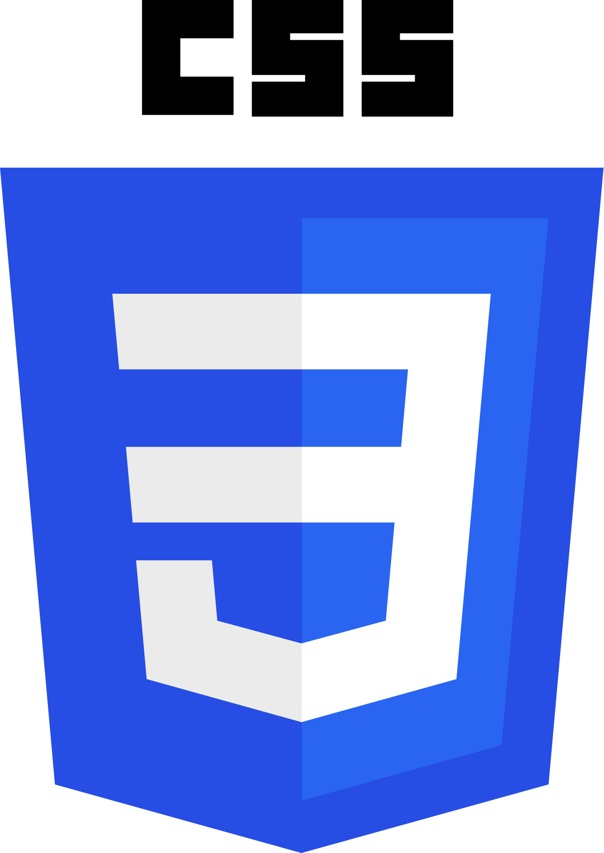 Logo langage de programmation CSS pour la création de Site Internet